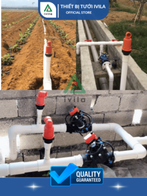 Công ty TNHH Thiết kế và Xây dựng Giải pháp xanh IVILA