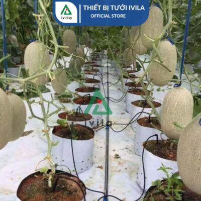 Bộ 4 que cắm nhỏ giọt mũi tên đen 15cm kèm dây trắng - Ảnh 4