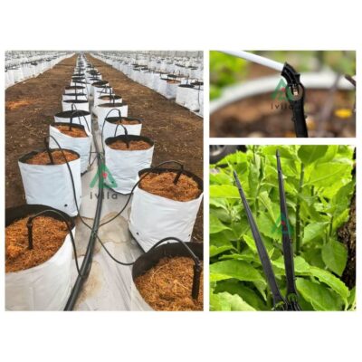 Bộ 4 que cắm nhỏ giọt mũi tên đen 15cm kèm dây trắng - Ảnh 3