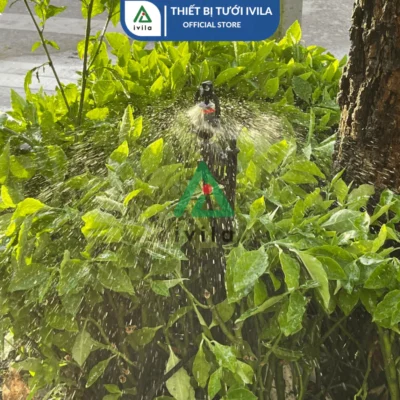Béc tưới phun mưa cho cây cam