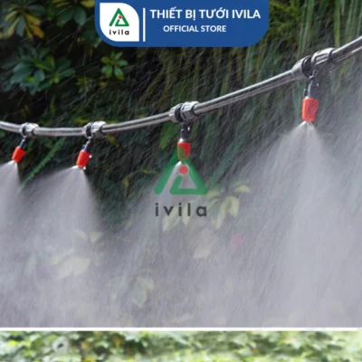 tưới phun sương hoa cúc